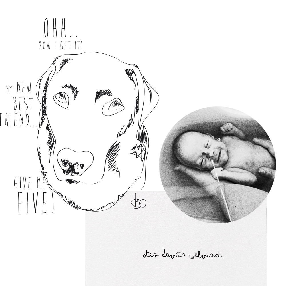 birth announcement of Otis on a A3 poster with illustrations photos and words made by Poppyonto